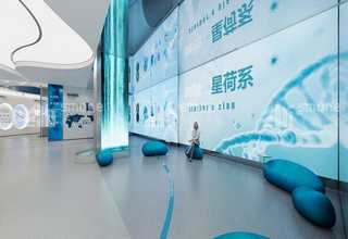 兰州水星氢气高压软管批发