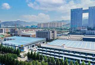 出口蝴蝶兰哪家便宜