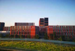 福建本地粉体输送信息推荐