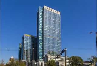 贵州小青柑茶价格